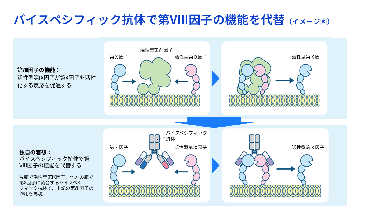 バイスペシフィック抗体がはたらく仕組み（イメージ図）