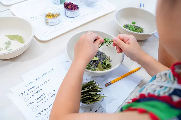 子どもが植物の葉を使ってにおいのくすりづくりを体験している様子