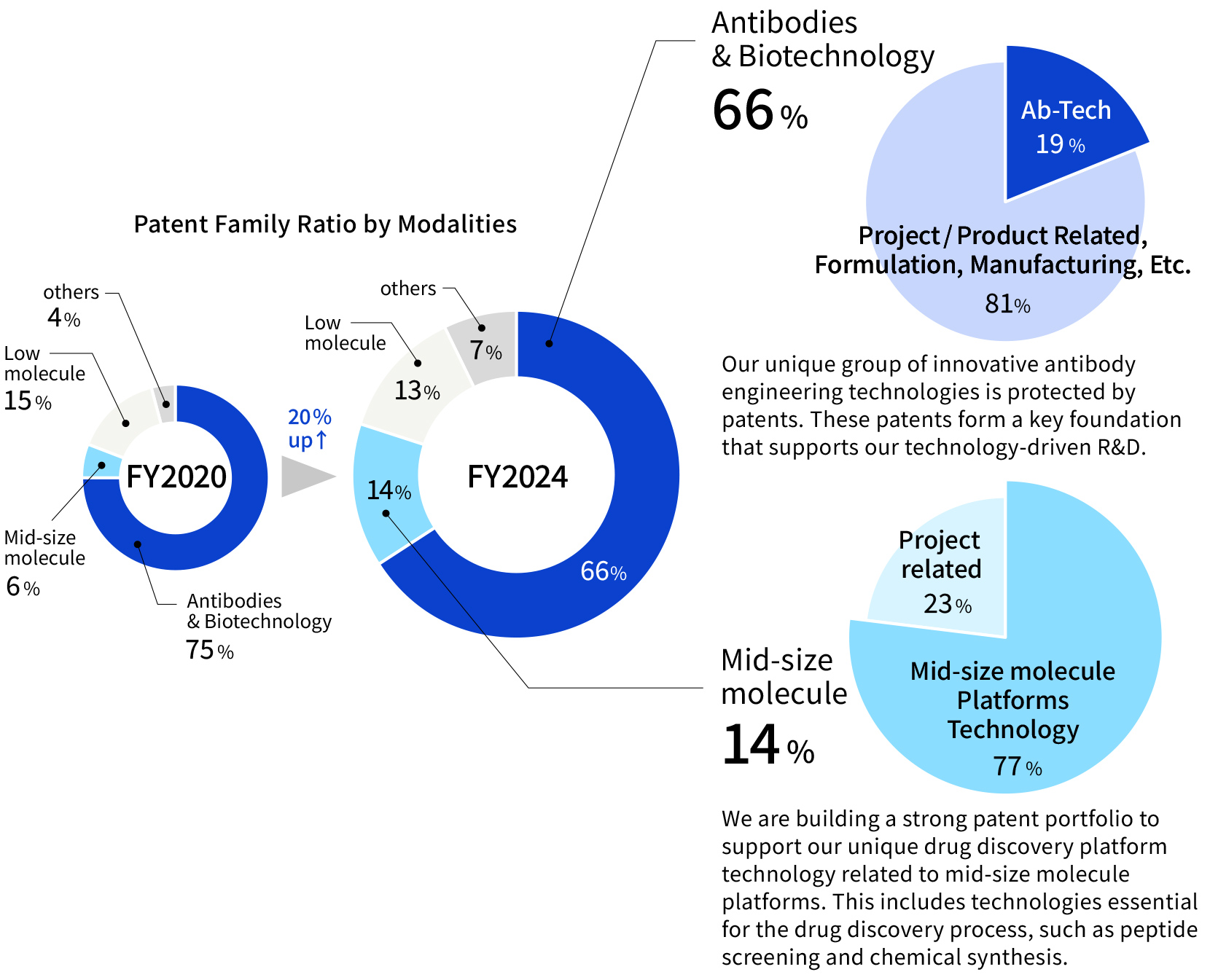 Patent Family Ratio by Modalities: [Fy2020] Antibodies & Biotechnology - 75%, Mid-size molecule - 6%, Low molecule - 15%, others - 4% [FY2024] Antibodies & Biotechnology - 66%, Mid-size molecule - 14%, Low molecule - 13%, others - 7% / Antibodies & Biotechnology [FY2024] Ab-Tech - 19%, Project/Product Related, Formulation, Manufacturing, Etc. - 81% Our unique group of innovative antibody engineering technologies is protected by patents. These patents form a key foundation that supports our technology-driven R&D. / Mid-size molecule [FY2024] Mid-size molecule Platforms Technology - 77%, Project related - 23% We are building a strong patent portfolio to support our unique drug discovery platform technology related to mid-size molecule platforms. This includes technologies essential for the drug discovery process, such as peptide screening and chemical synthesis.