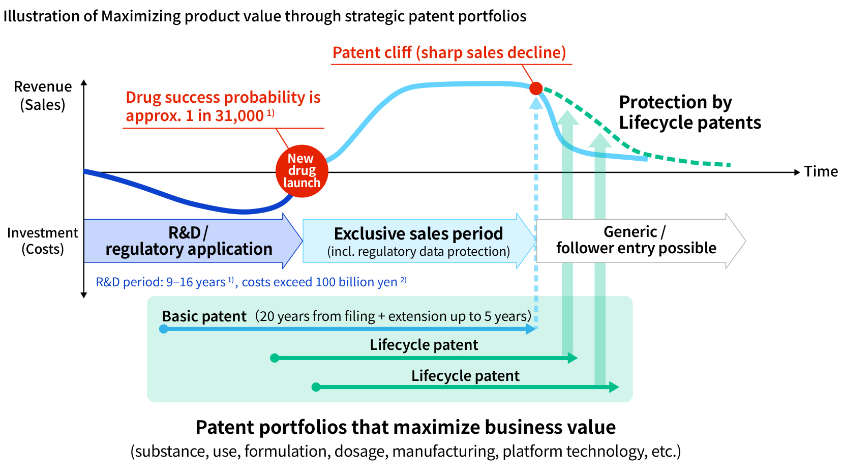 Diagram showing how pharmaceutical products require lengthy research and substantial investment, and how building a patent portfolio that combines core patents with lifecycle patents helps maximize product value and support sustainable business growth.