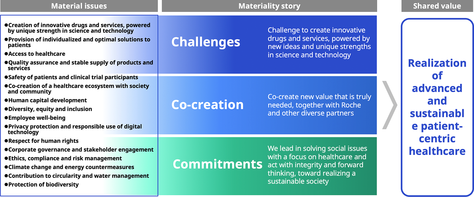 Organize the value creation story along the three themes of Challenge, Co-creation, and Commitments