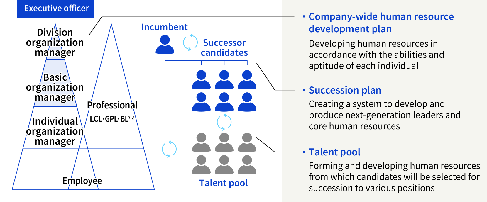 Company-wide human resource development plan: Developing human resources in accordance with the abilities and aptitude of each individual / 
              Succession plan: Creating a system to develop and produce next-generation leaders and core human resources / 
              Talent pool: Forming and developing human resources from which candidates will be selected for succession to various positions