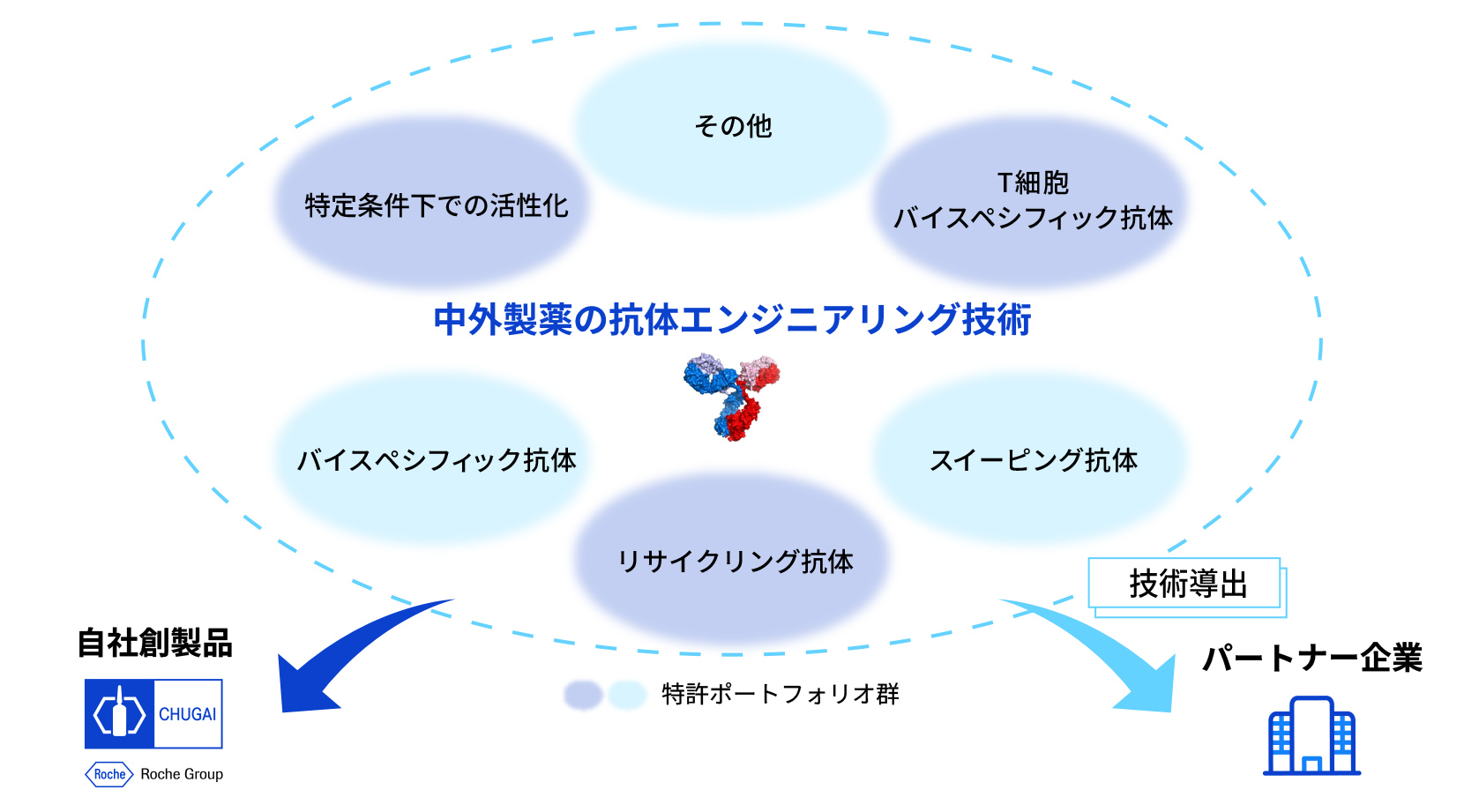 リサイクリング抗体、スイーピング抗体、バイスペシフィック抗体などに代表される中外製薬の抗体エンジニアリング技術が、自社製品で利用されるのみならず、パートナー企業への技術導出を通じて広く活用されていることを示した図。