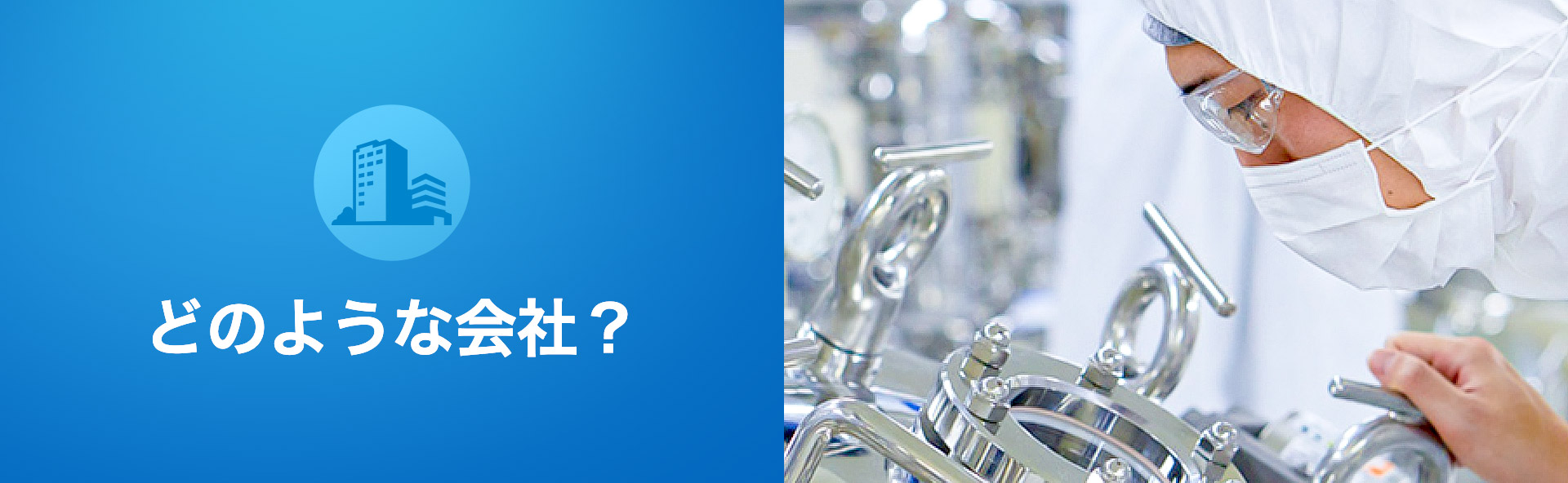 どのような会社?