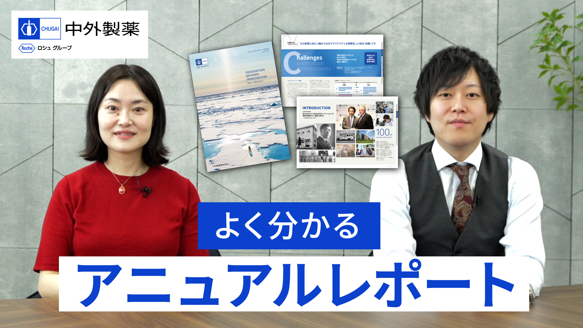 よく分かるアニュアルレポート　画像