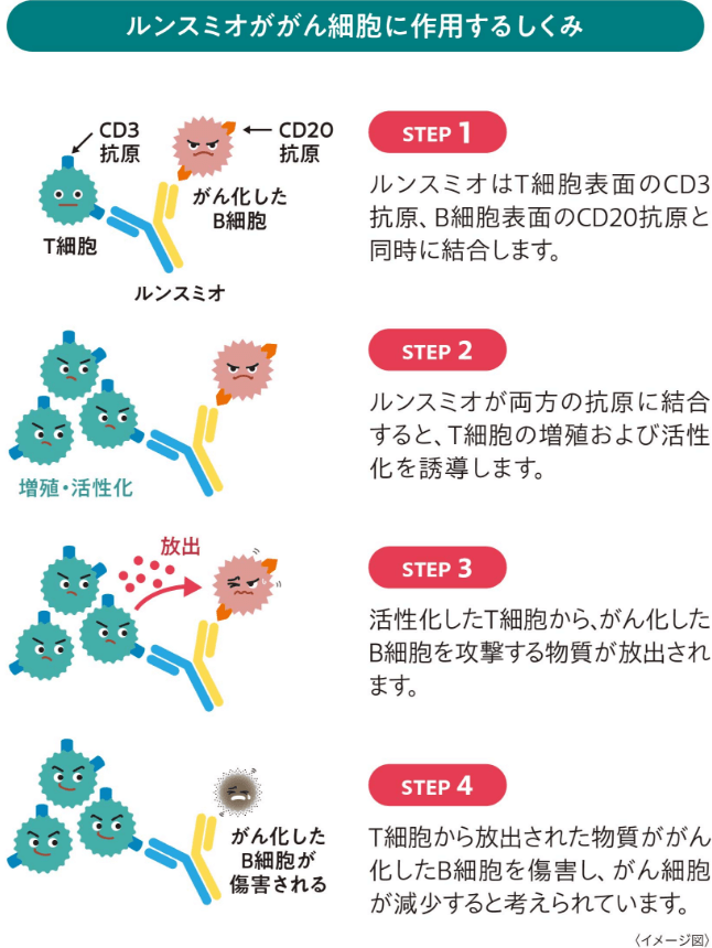 ルンスミオががん細胞に作用するしくみを4つのステップで解説