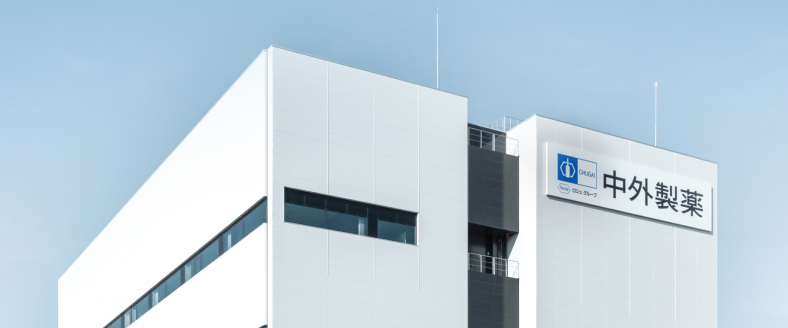 Domestic Group Companies