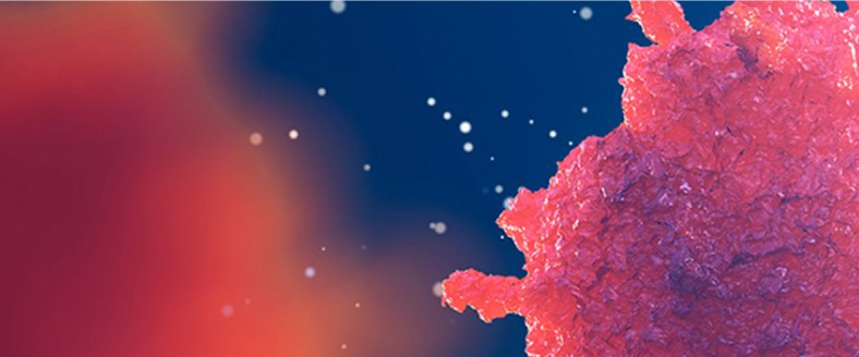 Action Plan for Pandemic Influenza and New Infectious Diseases