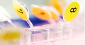 中外製薬の研究・開発を知る