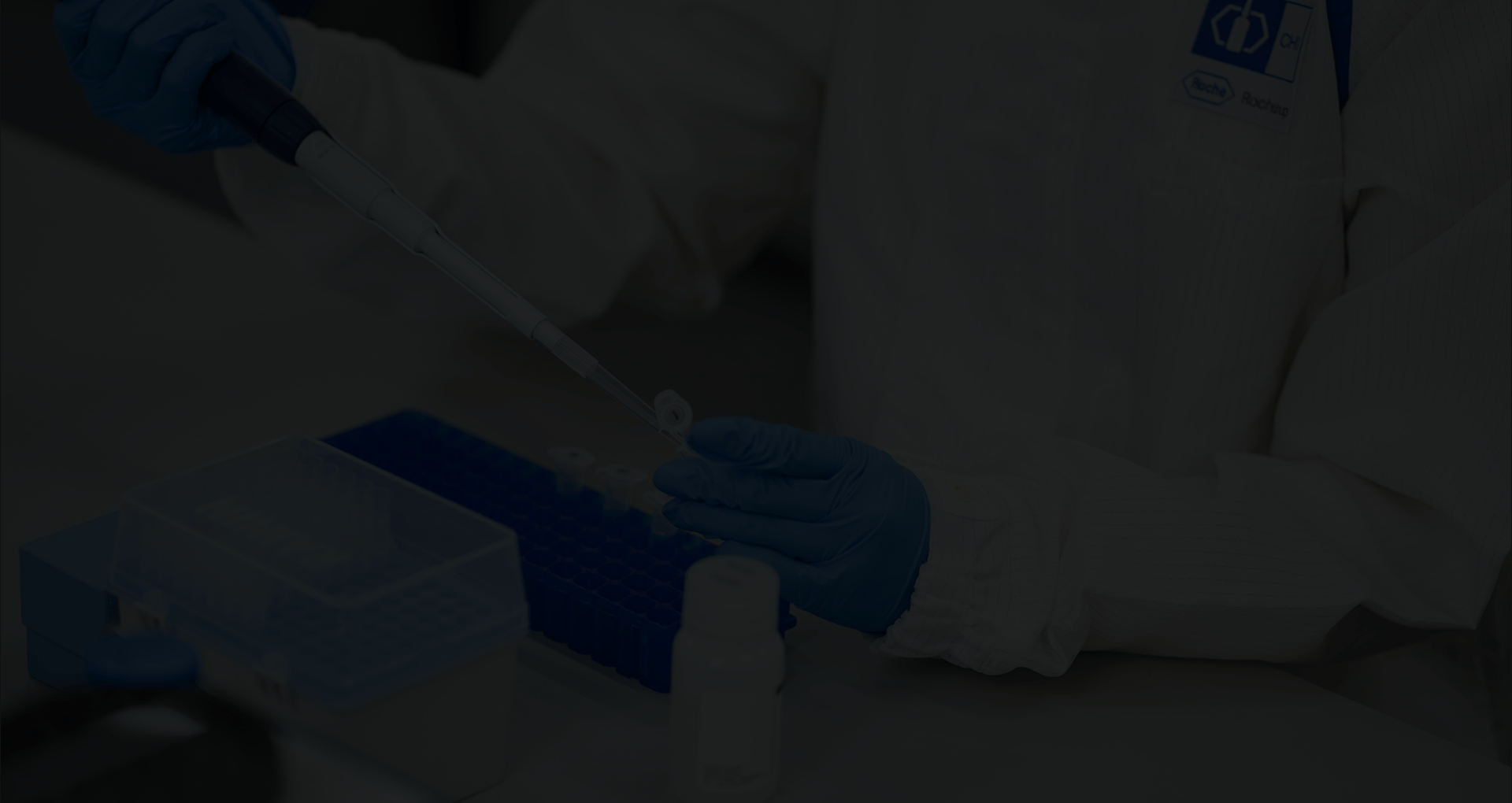 スポイトを使っての作業の様子