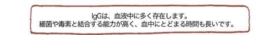 抗体の種類(IgG) の説明