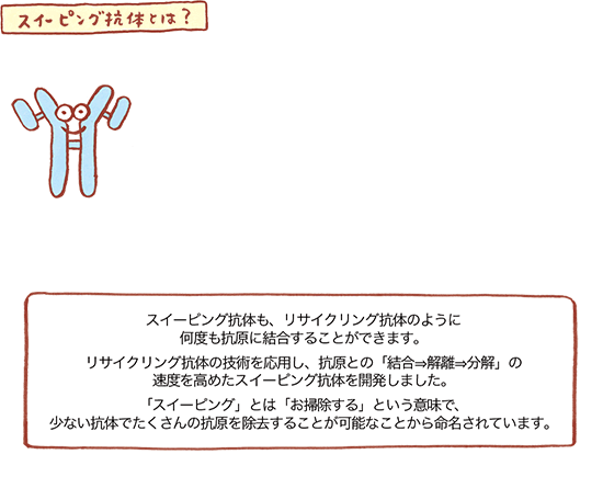 スイーピング抗体の図