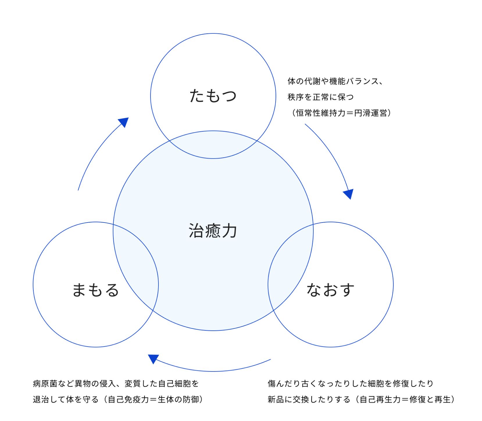 自然治癒力の3要素について