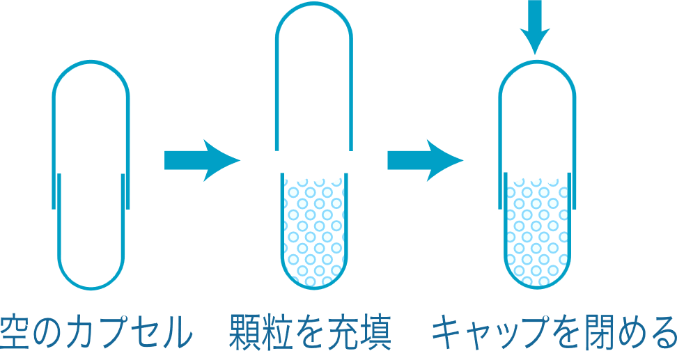 ハードカプセル充填の手順