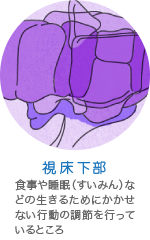 視床下部の働き