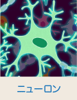 ニューロン