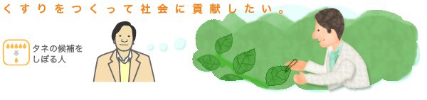 くすりをつくって社会に貢献したい。タネの候補をしぼる