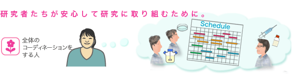 研究者たちが安心して研究に取り組むために。全体のコーディネーション