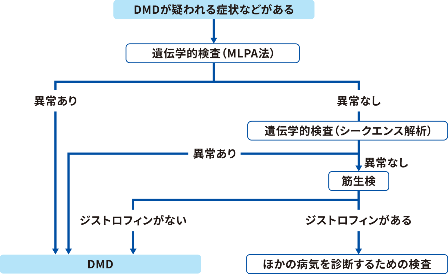 DMDの診断の流れ