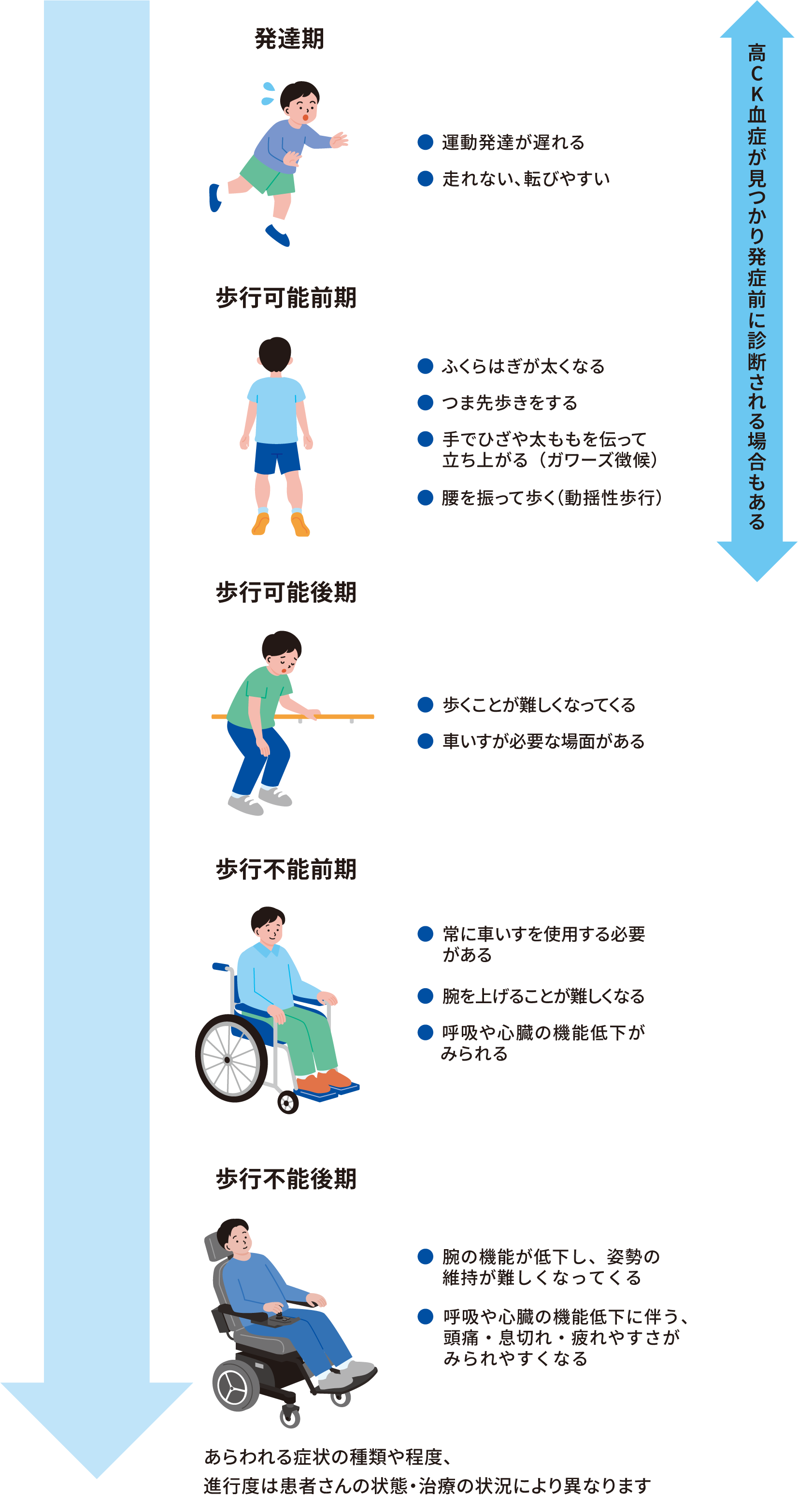 DMDの症状の進行を示すフロー図