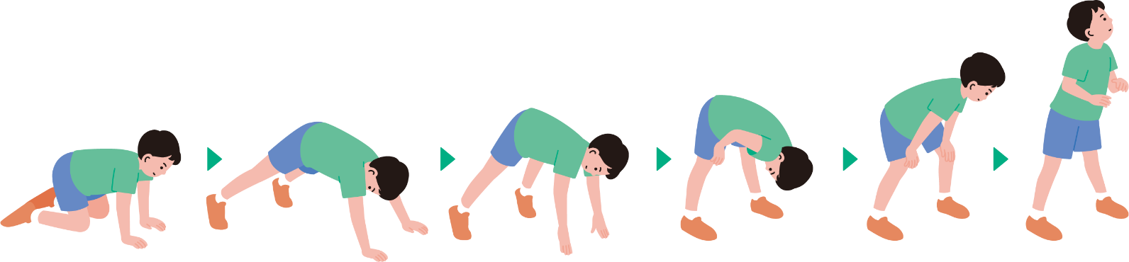 ガワーズ徴候を示すイメージ