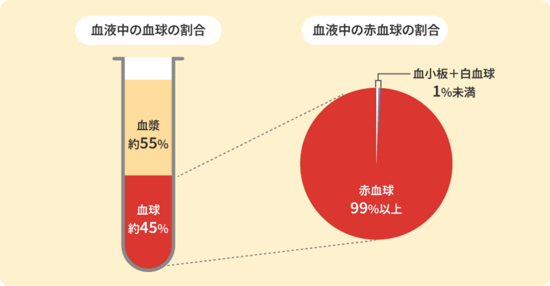 血液中の血球の割合約45％、血球中の赤血球の割合99％以上血小板＋白血球1％未満