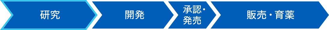 バリューチェーン 研究、開発、承認・発売、販売・育薬